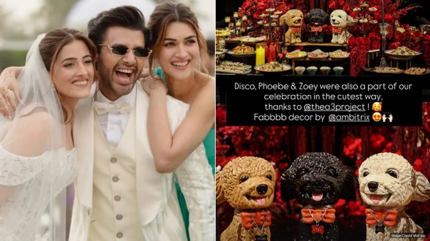 Kriti Sanon shares how her 3 dogs became part of Nupur Sanon`s wedding